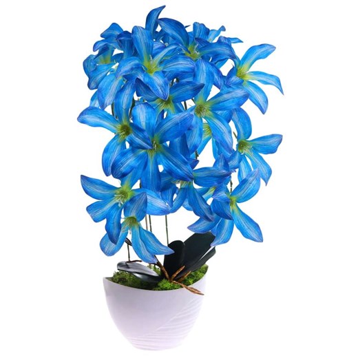 Niebieski storczyk Cybidium Kompozycja kwiatowa 3 Pędy 50 cm KOMp83 S240 Pantofelek24 50 cm Pantofelek24.pl