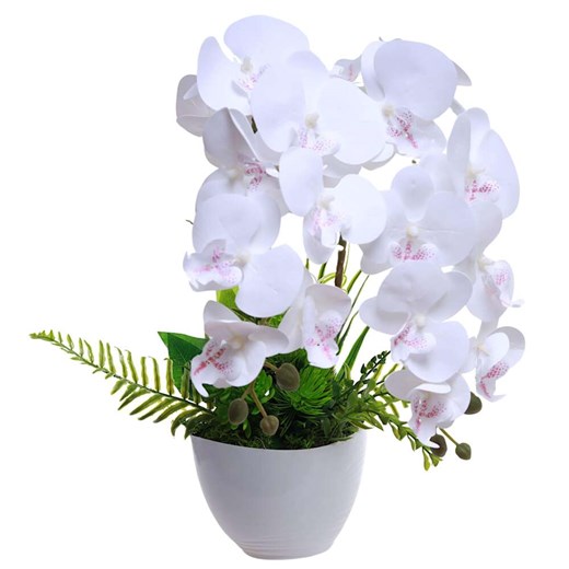 Dekoracja Pantofelek24 