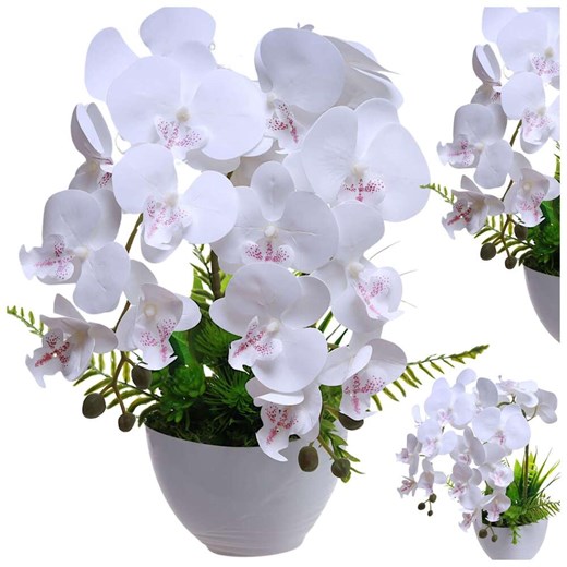 Dekoracja Pantofelek24 