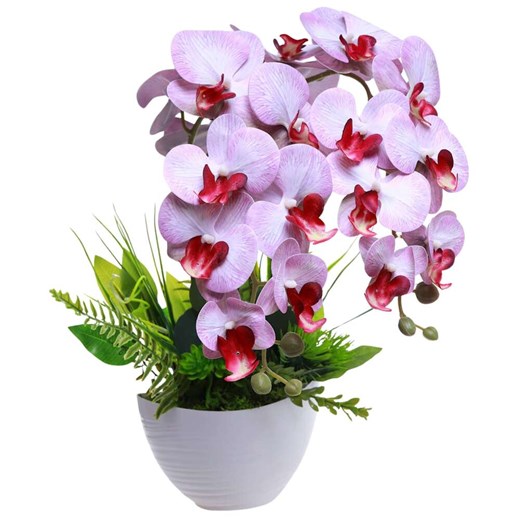 Dekoracja Pantofelek24 