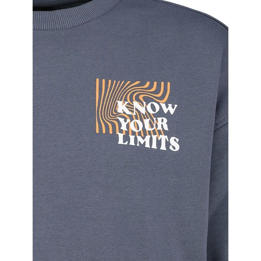 Bluza męska SUBLEVEL