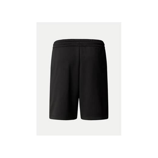 Spodenki męskie The North Face 