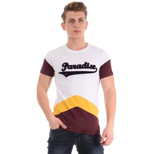 Męska Koszulka T-Shirt ze sklepu brendi.pl w kategorii T-shirty męskie - zdjęcie 178858619