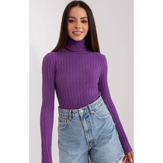 Sweter z golfem ciemnofioletowy PM-SW-1087.09, Kolor ciemny fiolet, Rozmiar S/M, P-M ze sklepu Primodo w kategorii Swetry damskie - zdjęcie 178878918