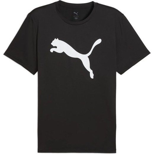 Koszulka męska Train All Day Solid Cat Puma ze sklepu SPORT-SHOP.pl w kategorii T-shirty męskie - zdjęcie 178931036
