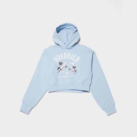 HOODRICH BLUZA Z KAPTUREM GRACE BOXY HOODIE ze sklepu JD Sports  w kategorii Bluzy damskie - zdjęcie 178941845