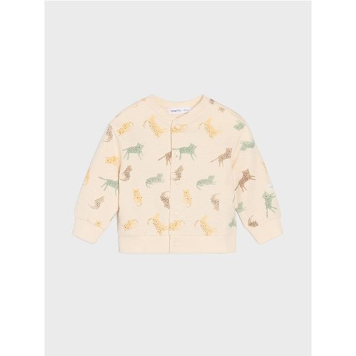 Sinsay - Bluza z miękkiego bawełnianego dżerseju - kremowy ze sklepu Sinsay w kategorii Bluzy i swetry - zdjęcie 179036227