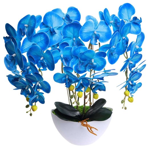 Niebieski storczyk orchidea Kompozycja kwiatowa 5 Pędów 60 cm KOMp62 S349 ze sklepu Pantofelek24.pl w kategorii Dekoracje - zdjęcie 179042566