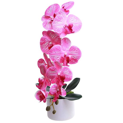 Fuksjowo biały storczyk orchidea Kompozycja kwiatowa 1 Pęd 55 cm KOMp69 S240 ze sklepu Pantofelek24.pl w kategorii Dekoracje - zdjęcie 179046685