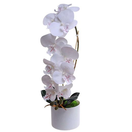 Biały storczyk orchidea Kompozycja kwiatowa 1 Pęd 55 cm KOMp67 S240 ze sklepu Pantofelek24.pl w kategorii Dekoracje - zdjęcie 179046727