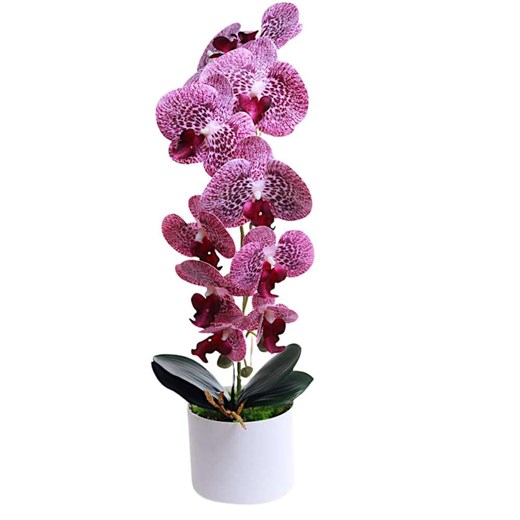 Fioletowy storczyk orchidea Kompozycja kwiatowa 1 Pęd 55 cm KOMp63 S240 ze sklepu Pantofelek24.pl w kategorii Dekoracje - zdjęcie 179060895