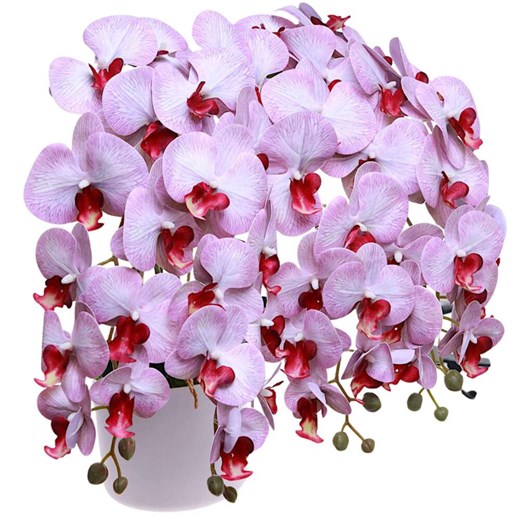 Fioletowo biały duży storczyk orchidea Kompozycja kwiatowa 5 Pędów 60 cm KOMp76 S640 ze sklepu Pantofelek24.pl w kategorii Dekoracje - zdjęcie 179063048