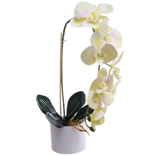 Żółty storczyk orchidea Kompozycja kwiatowa 1 Pęd 55 cm KOMp66 S240 ze sklepu Pantofelek24.pl w kategorii Dekoracje - zdjęcie 179065699