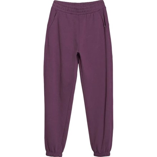Spodnie dresowe damskie TTROF1013 4F ze sklepu SPORT-SHOP.pl w kategorii Spodnie damskie - zdjęcie 179077035