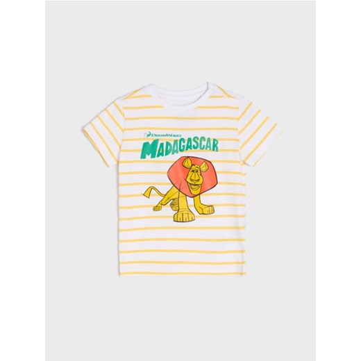 Sinsay - Koszulka The Madagaskar - biały ze sklepu Sinsay w kategorii T-shirty chłopięce - zdjęcie 179120018