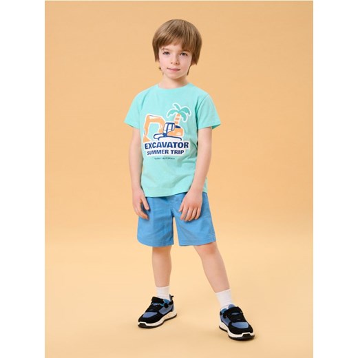 Sinsay - Koszulka - zielony ze sklepu Sinsay w kategorii T-shirty chłopięce - zdjęcie 179129779