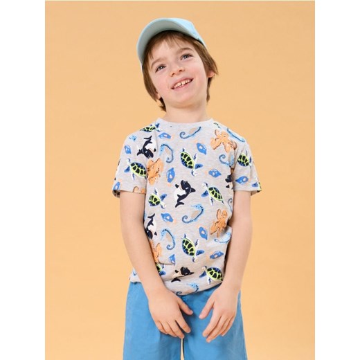 Sinsay - Koszulka - szary ze sklepu Sinsay w kategorii T-shirty chłopięce - zdjęcie 179161468