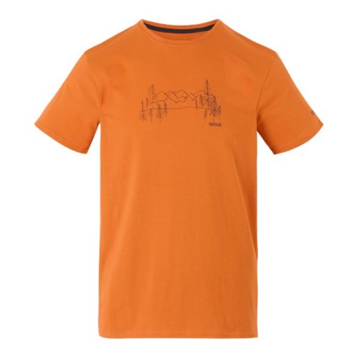 Koszulka męska Breezed V Regatta ze sklepu SPORT-SHOP.pl w kategorii T-shirty męskie - zdjęcie 179194037