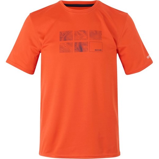 Koszulka męska Fingal IX Regatta ze sklepu SPORT-SHOP.pl w kategorii T-shirty męskie - zdjęcie 179194097