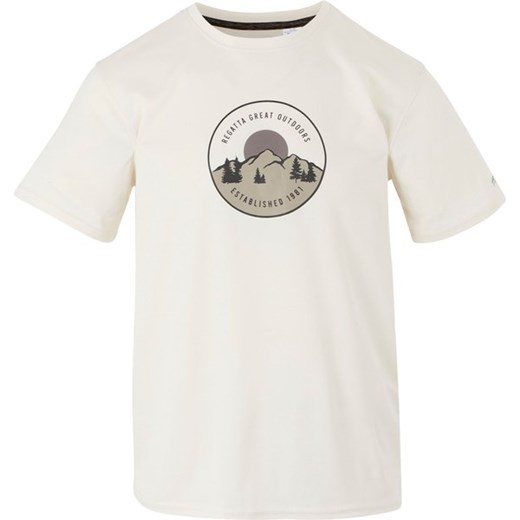 Koszulka męska Fingal IX Regatta ze sklepu SPORT-SHOP.pl w kategorii T-shirty męskie - zdjęcie 179194217