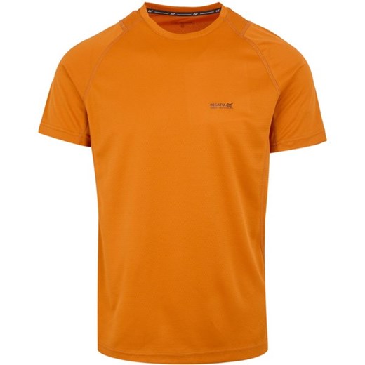 Koszulka męska Virda IV Regatta ze sklepu SPORT-SHOP.pl w kategorii T-shirty męskie - zdjęcie 179219239
