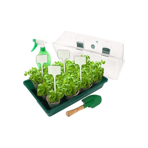 Planete Plante Szklarnia z akcesoriami - 3+ ze sklepu Limango Polska w kategorii Zabawki - zdjęcie 179249165