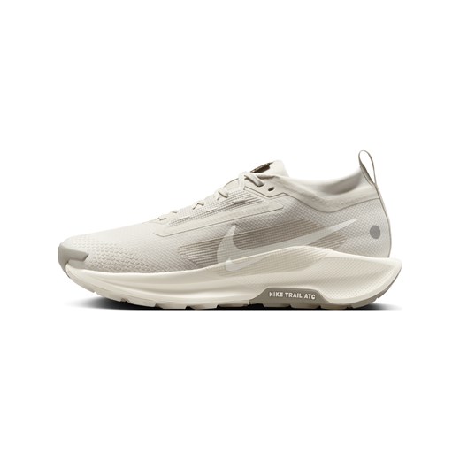 Buty sportowe męskie Nike pegasus szare