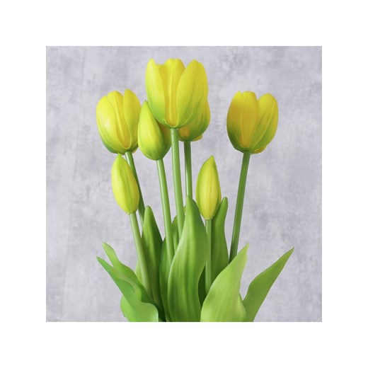 Boltze Bukiet dekoracyjny &quot;Falona&quot; w kolorze złoto-zielonym - wys. 13 Boltze onesize promocyjna cena Limango Polska