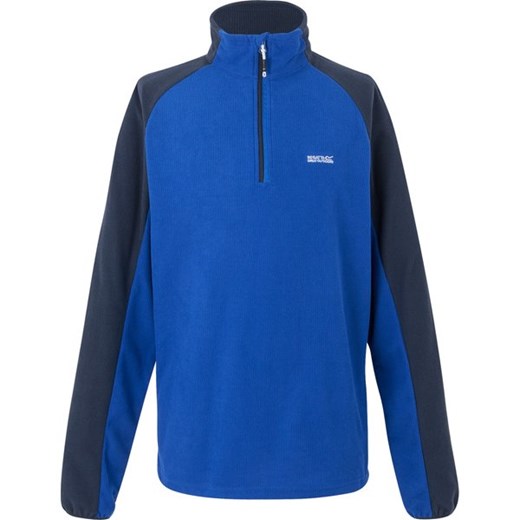 Bluza polarowa męska Elson II Regatta ze sklepu SPORT-SHOP.pl w kategorii Bluzy męskie - zdjęcie 179378487