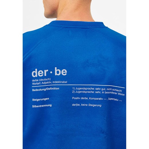Bluza męska Derbe 