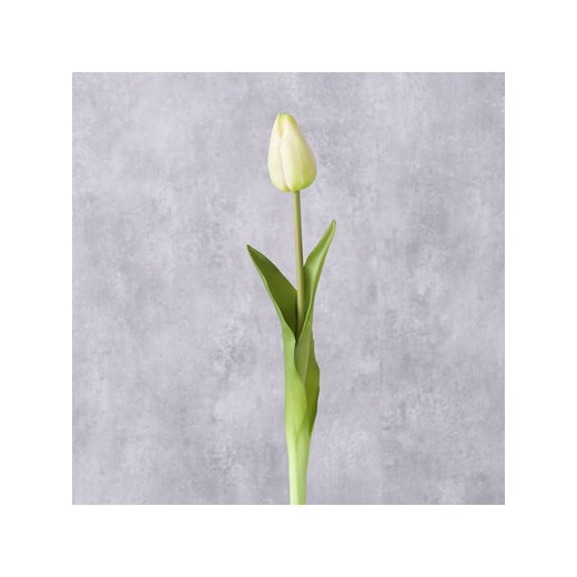 Boltze Sztuczne kwiaty (2 szt.) w kolorze kremowo-zielonym - wys. 42 cm Boltze onesize wyprzedaż Limango Polska