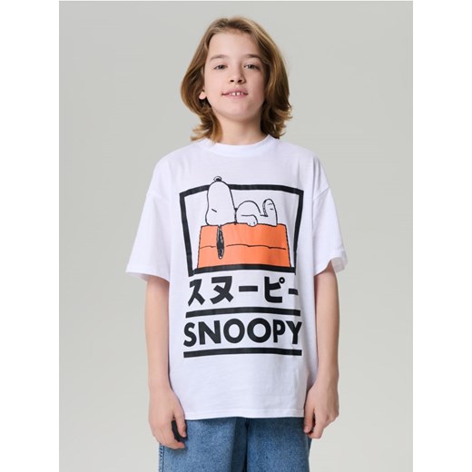 Sinsay - Koszulka Peanuts - szary ze sklepu Sinsay w kategorii T-shirty chłopięce - zdjęcie 179429527