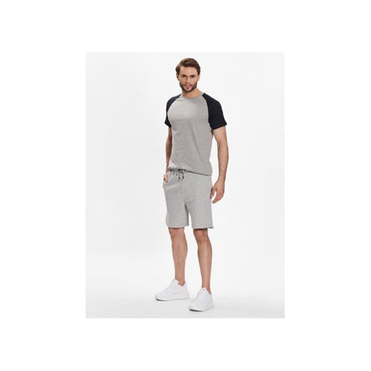 Brave Soul Szorty sportowe MSRT-69TARLEYQ Szary Regular Fit XL MODIVO