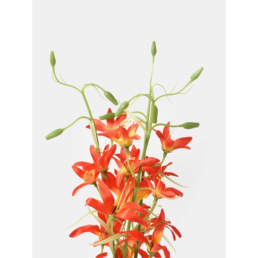 Sinsay - Roślina dekoracyjna 3 pack - pomarańczowy Sinsay One Size Sinsay