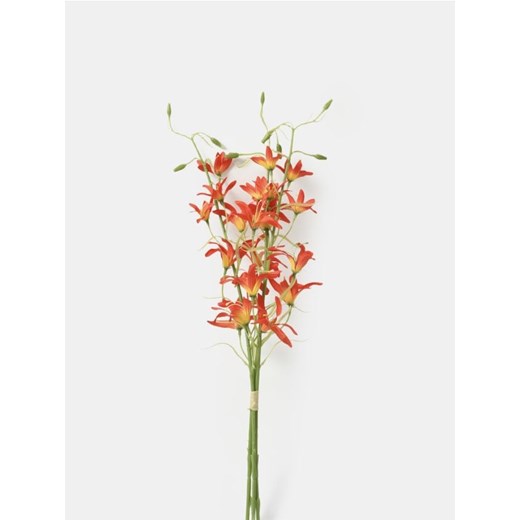 Sinsay - Roślina dekoracyjna 3 pack - pomarańczowy Sinsay One Size Sinsay