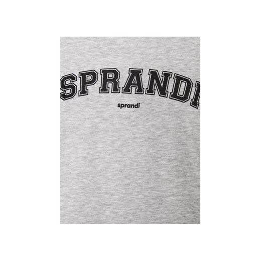 Sprandi Bluza SP3-BLM042 Szary Regular Fit Sprandi S MODIVO