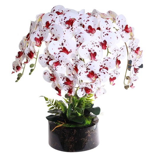 Biało bordowy storczyk orchidea Premium 6 pędów 65 cm K99 ze sklepu Pantofelek24.pl w kategorii Dekoracje - zdjęcie 179618329