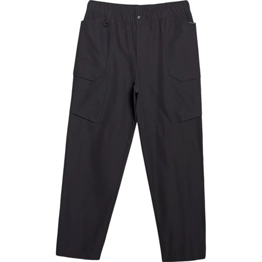 Spodnie męskie TTROM0998 4F ze sklepu SPORT-SHOP.pl w kategorii Spodnie męskie - zdjęcie 179635435