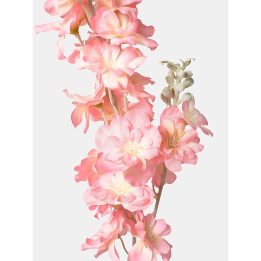 Sinsay - Roślina dekoracyjna - Ostróżka - różowy Sinsay One Size Sinsay