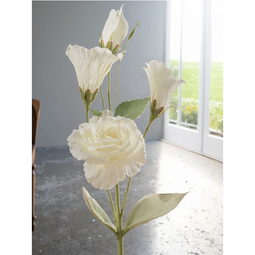 Sinsay - Roślina dekoracyjna - Eustoma - biały ze sklepu Sinsay w kategorii Dekoracje - zdjęcie 179663006