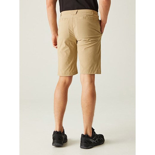 Spodenki męskie Regatta 