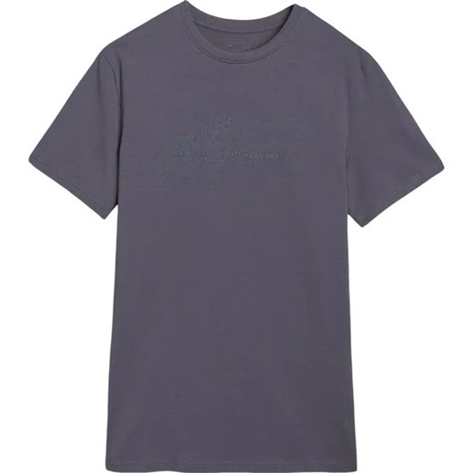 Koszulka męska TTSHM2004 4F ze sklepu SPORT-SHOP.pl w kategorii T-shirty męskie - zdjęcie 179703299