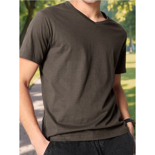 Sinsay - Koszulka - brązowy ze sklepu Sinsay w kategorii T-shirty męskie - zdjęcie 179710905