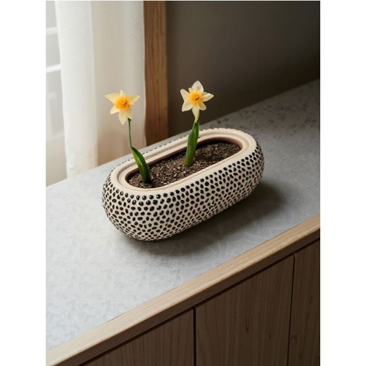 Sinsay - Doniczka - wielobarwny ze sklepu Sinsay w kategorii Doniczki i osłonki - zdjęcie 179711085