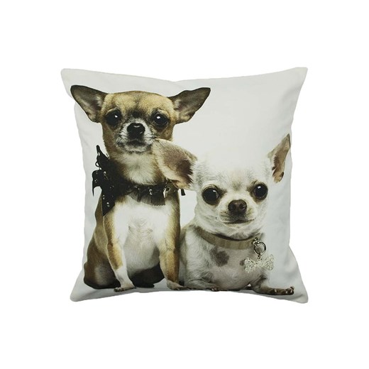 Mars &amp; More Poduszka &quot;Chihuahuas&quot; w kolorze jasnobrązowo-białym - 50 x 50 cm ze sklepu Limango Polska w kategorii Kołdry i poduszki - zdjęcie 179787487