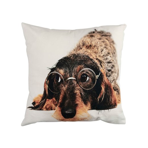 Mars &amp; More Poduszka &quot;Dachshund&quot; w kolorze jasnobrązowo-białym - 50 x 50 cm ze sklepu Limango Polska w kategorii Kołdry i poduszki - zdjęcie 179787488