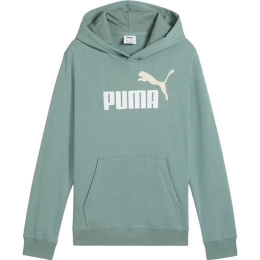 Bluza juniorska Ess 2 Color No.1 Logo Hoodie Puma ze sklepu SPORT-SHOP.pl w kategorii Bluzy dziewczęce - zdjęcie 180235205