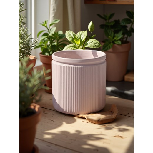 Sinsay - Świeca zapachowa o zapachu kwiatu piwonii - różowy Sinsay One Size Sinsay