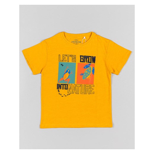 T-shirt chłopięce LOSAN