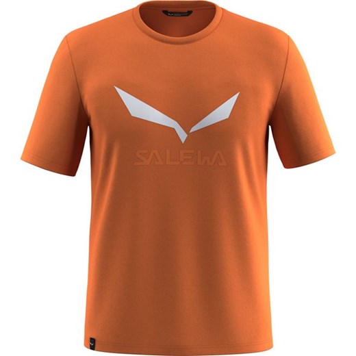 Koszulka męska Solidlogo Salewa ze sklepu SPORT-SHOP.pl w kategorii T-shirty męskie - zdjęcie 181930785